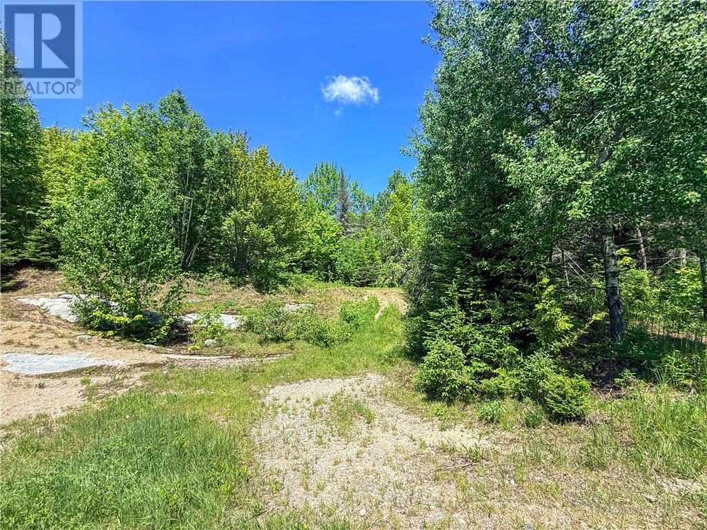 N/a Graham Road, Massey, Ontario  P0P 1P0 - Photo 19 - 2128450