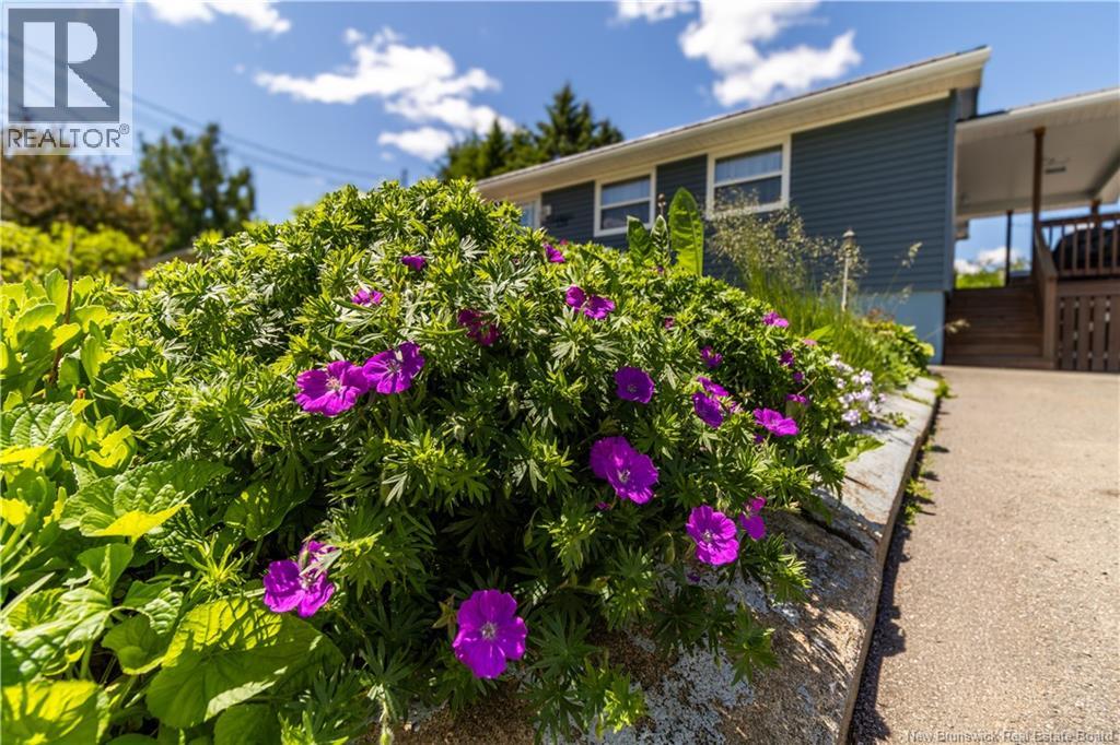 139 Magnolia Avenue, Sussex, New Brunswick  E4E 2H1 - Photo 43 - NB141423