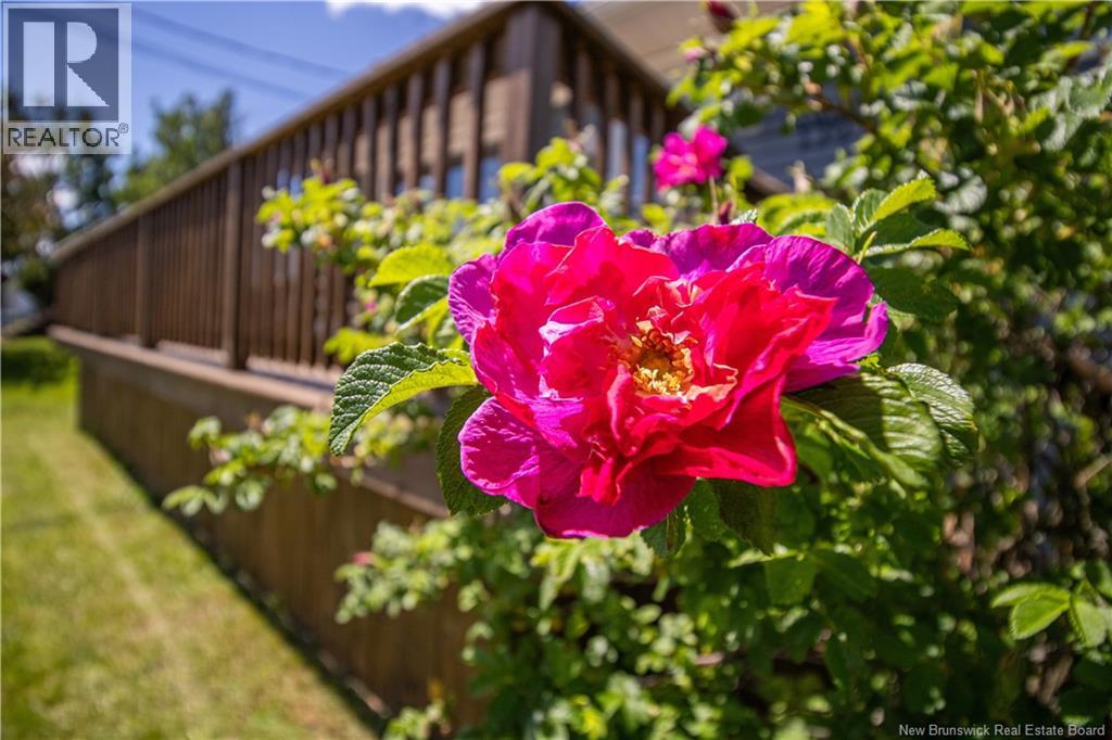 139 Magnolia Avenue, Sussex, New Brunswick  E4E 2H1 - Photo 44 - NB141490