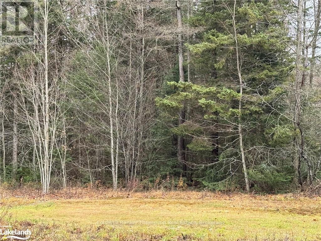 Lots 1, 2 & 3 Highway 518 W, Mcmurrich/monteith, Ontario P0A 1Y0 - Photo 2 - X10438365