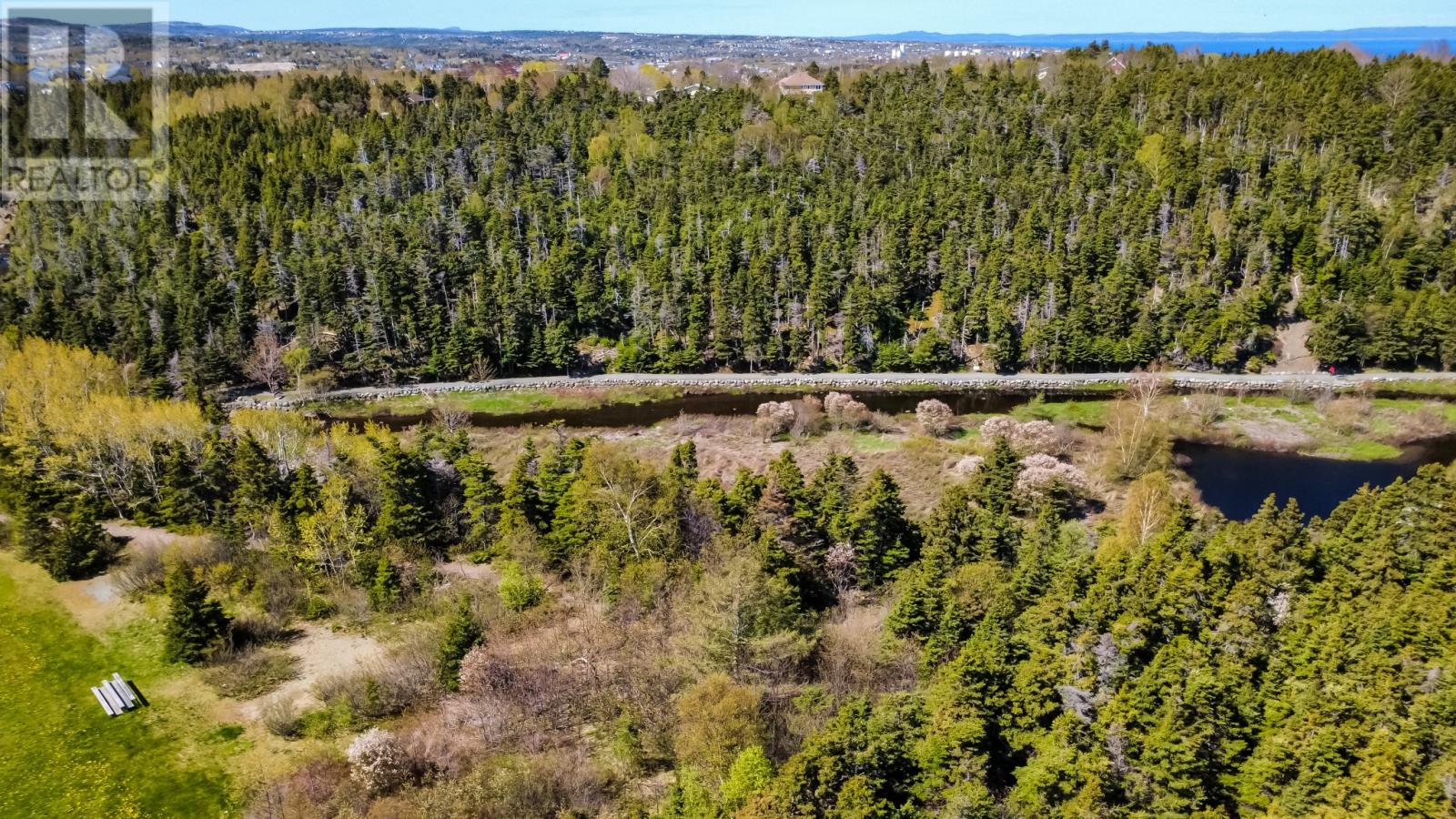 19 Hiscocks Lane, Conception Bay South, Newfoundland & Labrador  A1W 4L5 - Photo 38 - 1298613