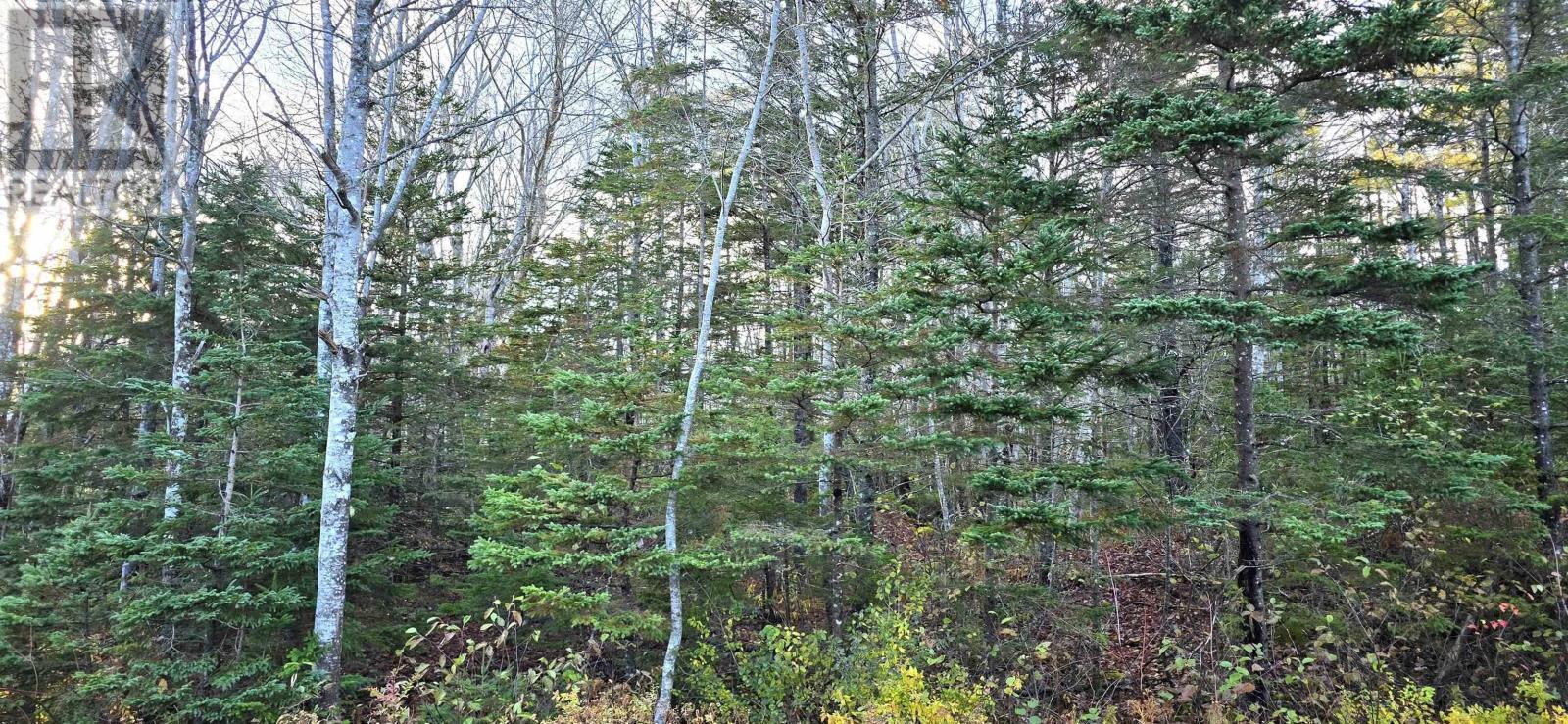Lot 16 Eastern Shore Road, Port Medway, Nova Scotia  B0J 1H0 - Photo 13 - 202528110
