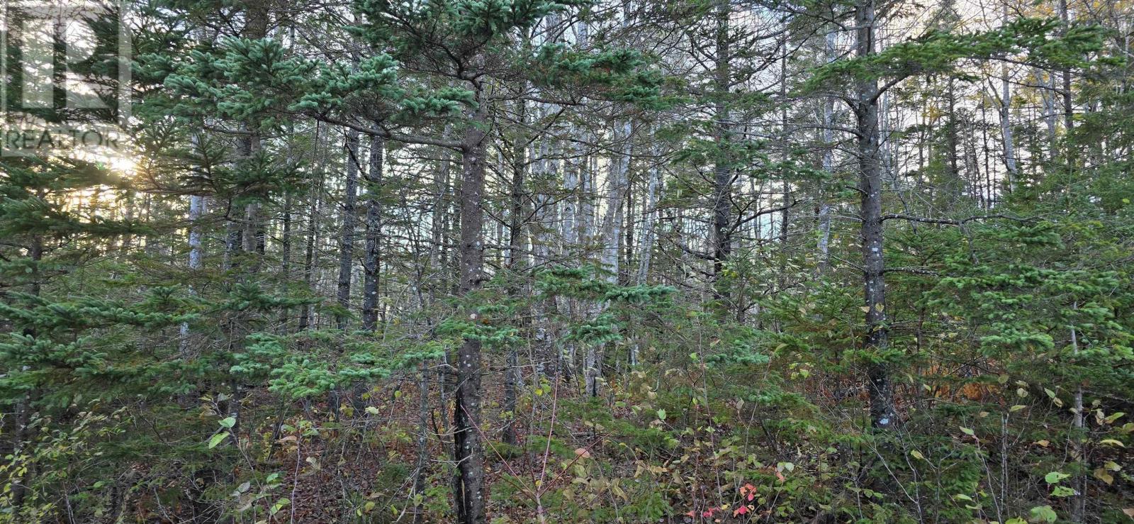 Lot 16 Eastern Shore Road, Port Medway, Nova Scotia  B0J 1H0 - Photo 14 - 202528110