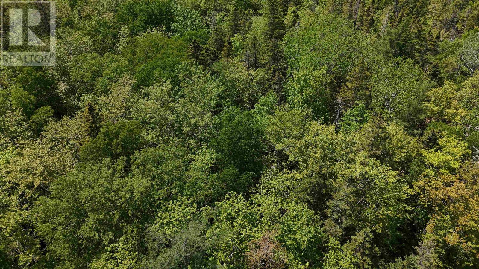 Lot 16 Eastern Shore Road, Port Medway, Nova Scotia  B0J 1H0 - Photo 23 - 202528110