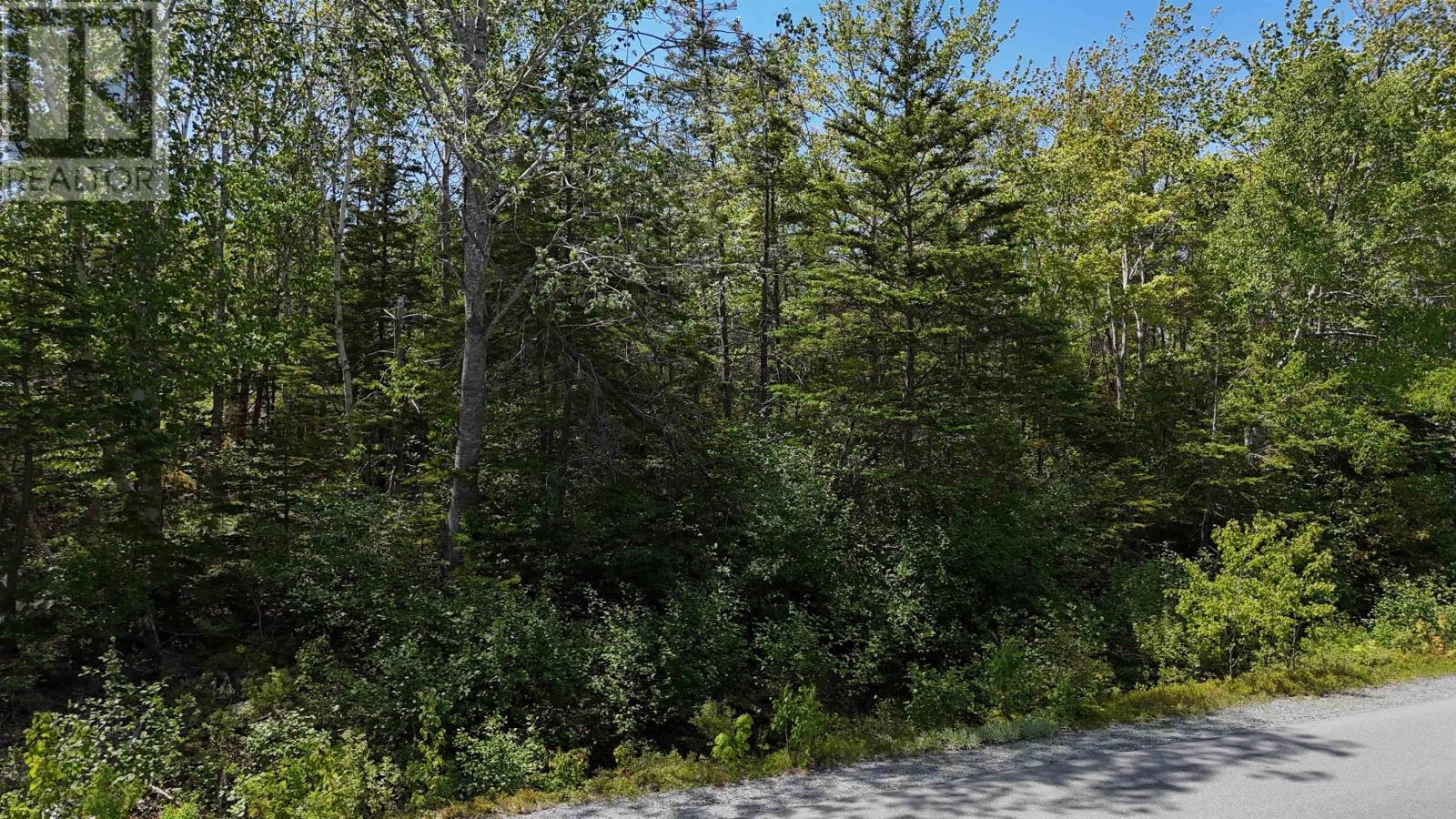Lot 16 Eastern Shore Road, Port Medway, Nova Scotia  B0J 1H0 - Photo 2 - 202528110
