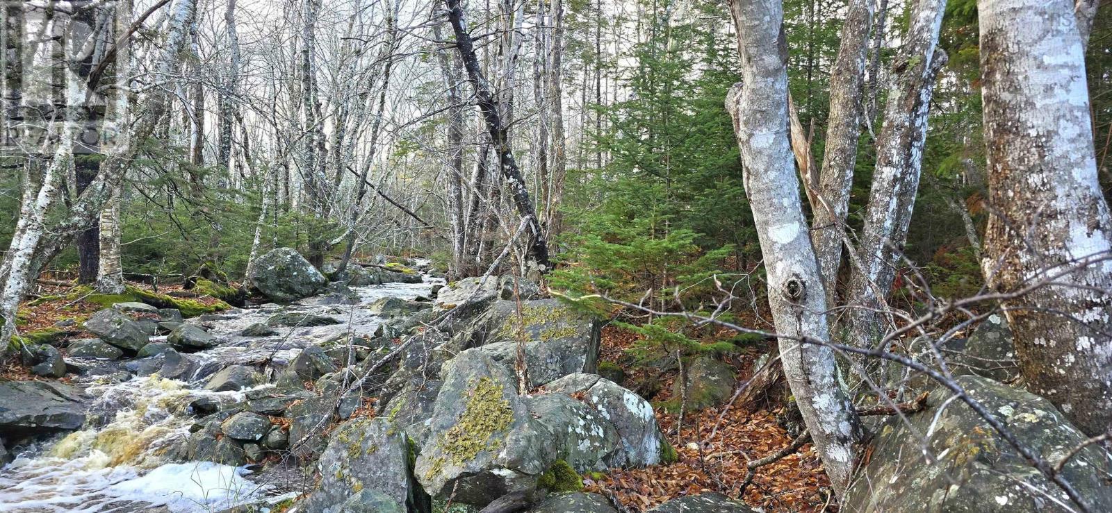 Lot 16 Eastern Shore Road, Port Medway, Nova Scotia  B0J 1H0 - Photo 12 - 202528110