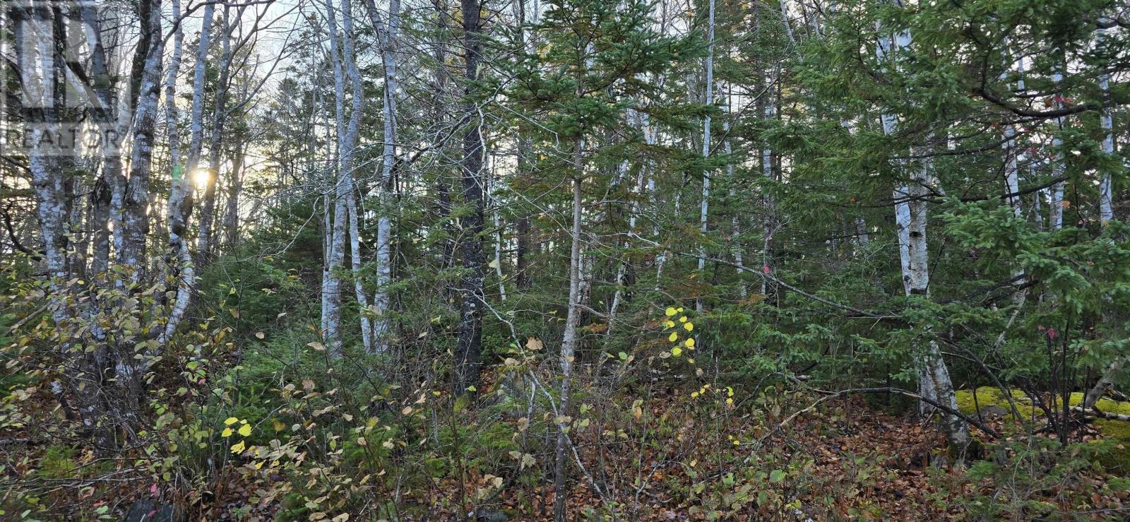 Lot 16 Eastern Shore Road, Port Medway, Nova Scotia  B0J 1H0 - Photo 18 - 202528110
