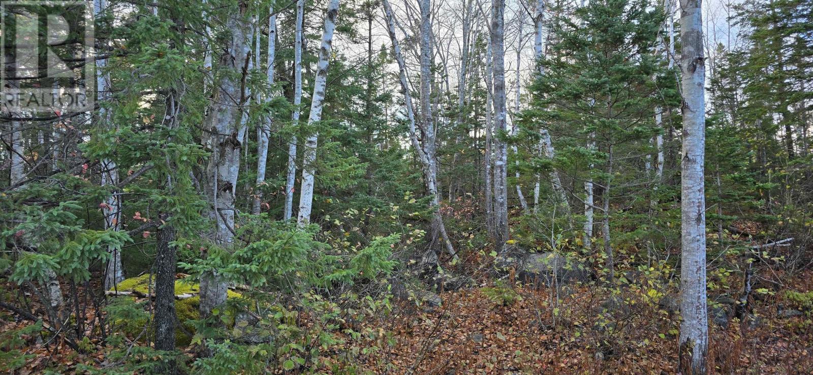 Lot 16 Eastern Shore Road, Port Medway, Nova Scotia  B0J 1H0 - Photo 19 - 202528110