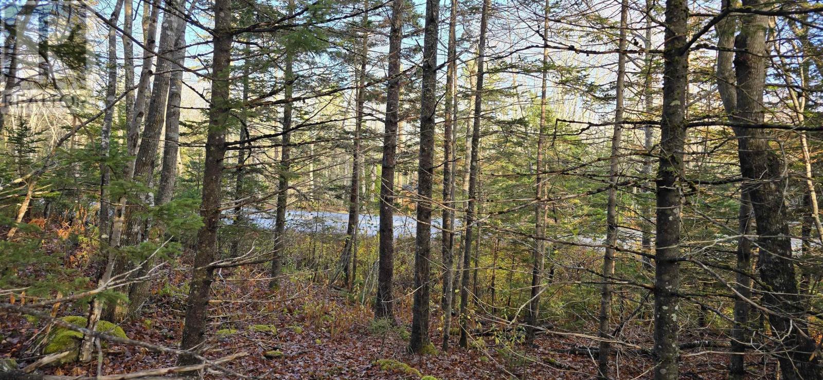 Lot 16 Eastern Shore Road, Port Medway, Nova Scotia  B0J 1H0 - Photo 8 - 202528110