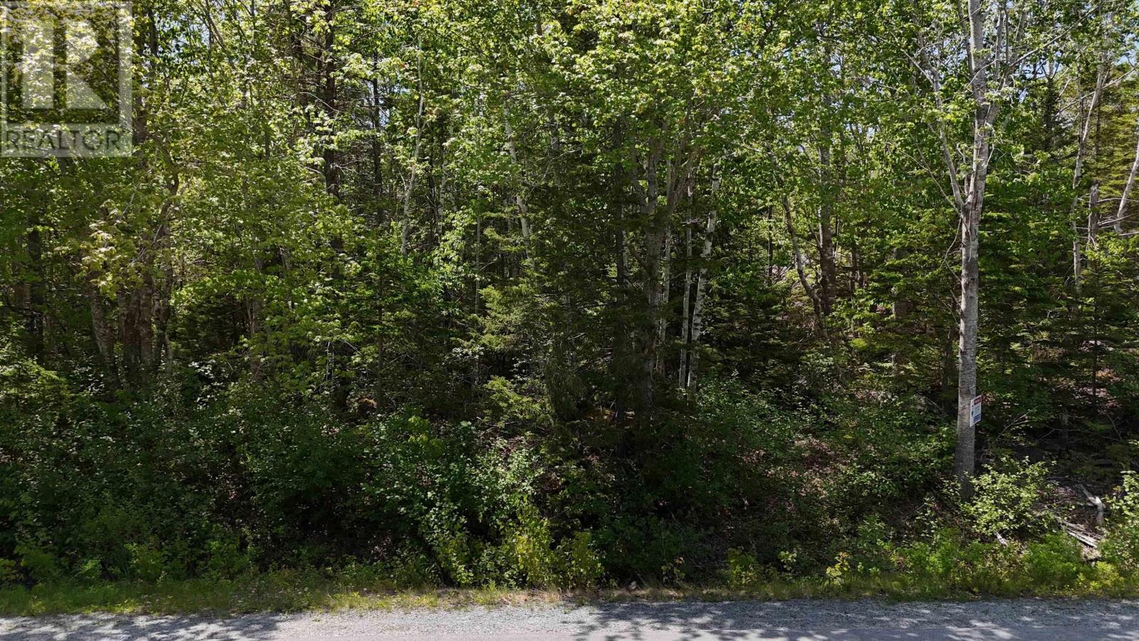Lot 16 Eastern Shore Road, Port Medway, Nova Scotia  B0J 1H0 - Photo 4 - 202528110