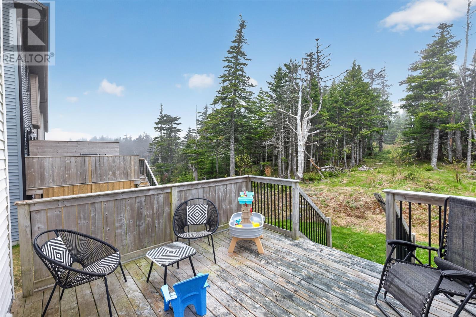 50 Claddagh Road, St. John's, Newfoundland & Labrador  A1H 0N6 - Photo 41 - 1298769