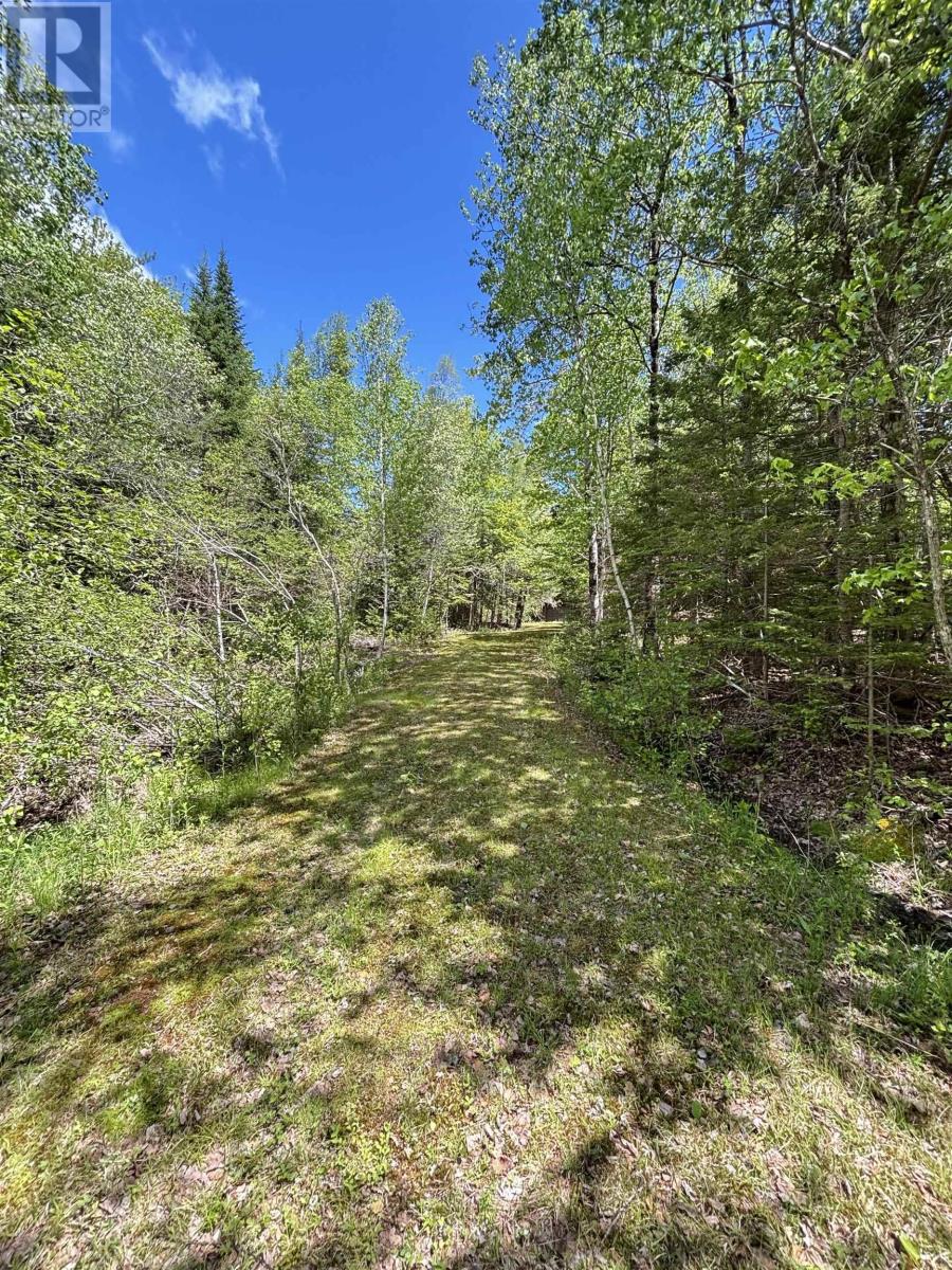 2334 Highway 14 Windsor Road, Chester, Nova Scotia  B0J 1J0 - Photo 10 - 202613914
