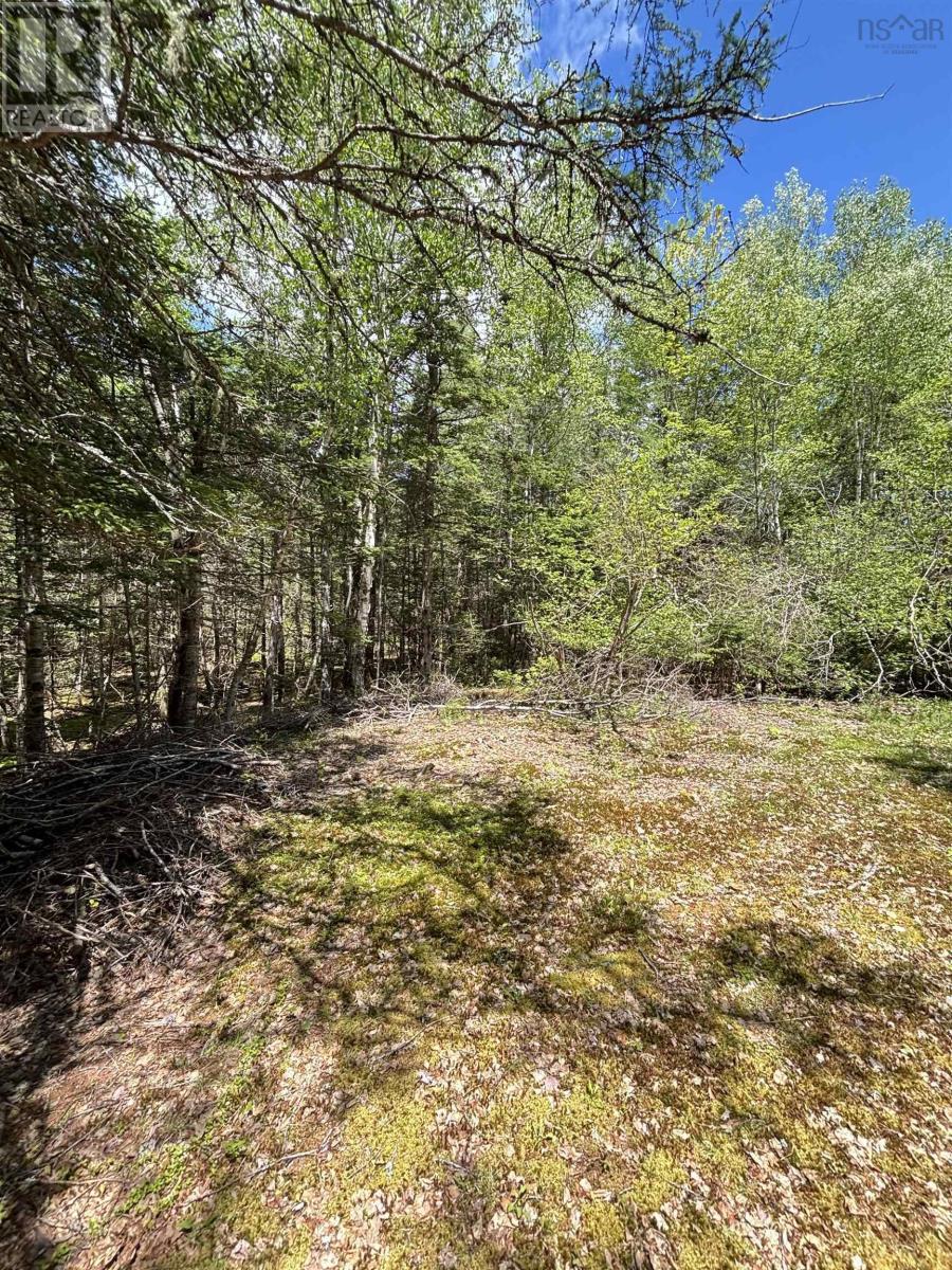 2334 Highway 14 Windsor Road, Chester, Nova Scotia  B0J 1J0 - Photo 16 - 202613914