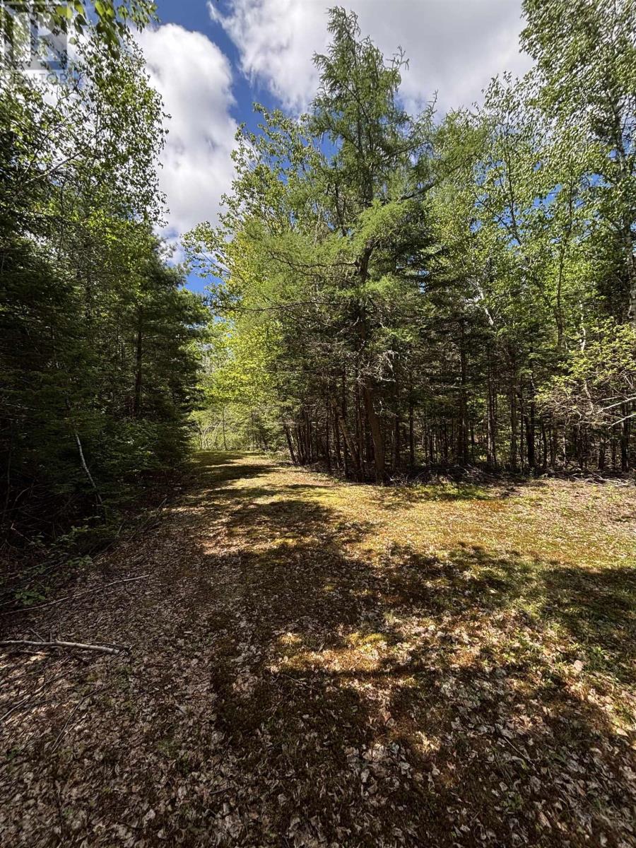 2334 Highway 14 Windsor Road, Chester, Nova Scotia  B0J 1J0 - Photo 18 - 202613914