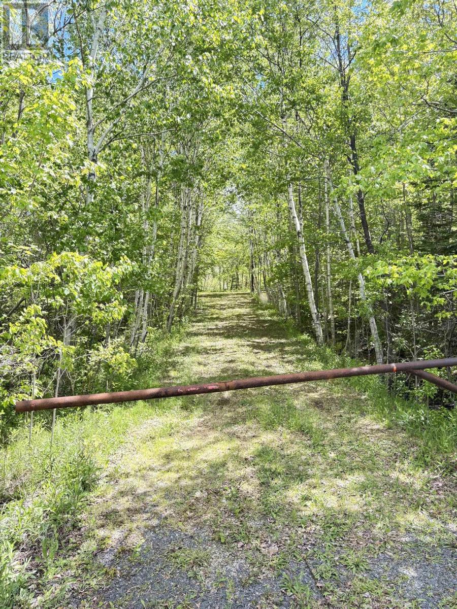 2334 Highway 14 Windsor Road, Chester, Nova Scotia  B0J 1J0 - Photo 2 - 202613914