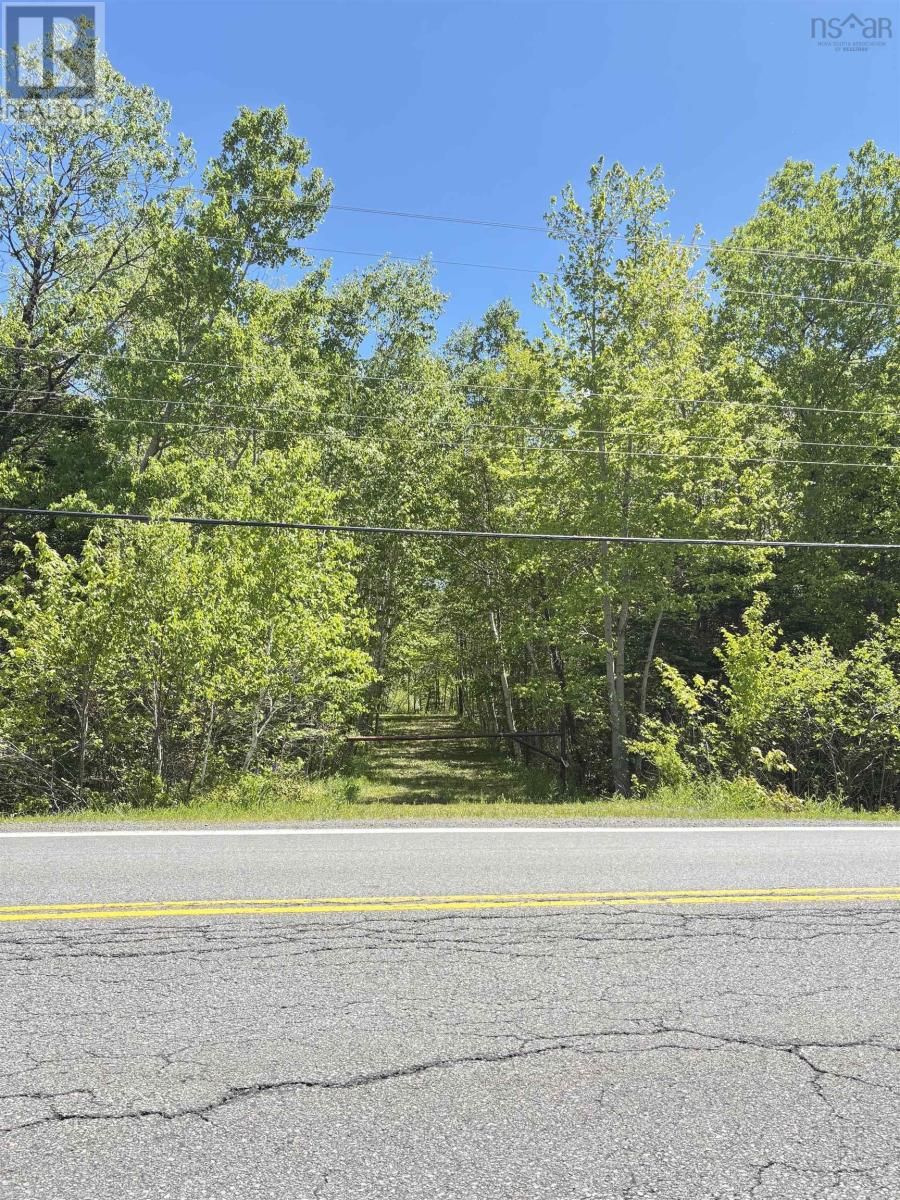 2334 Highway 14 Windsor Road, Chester, Nova Scotia  B0J 1J0 - Photo 3 - 202613914