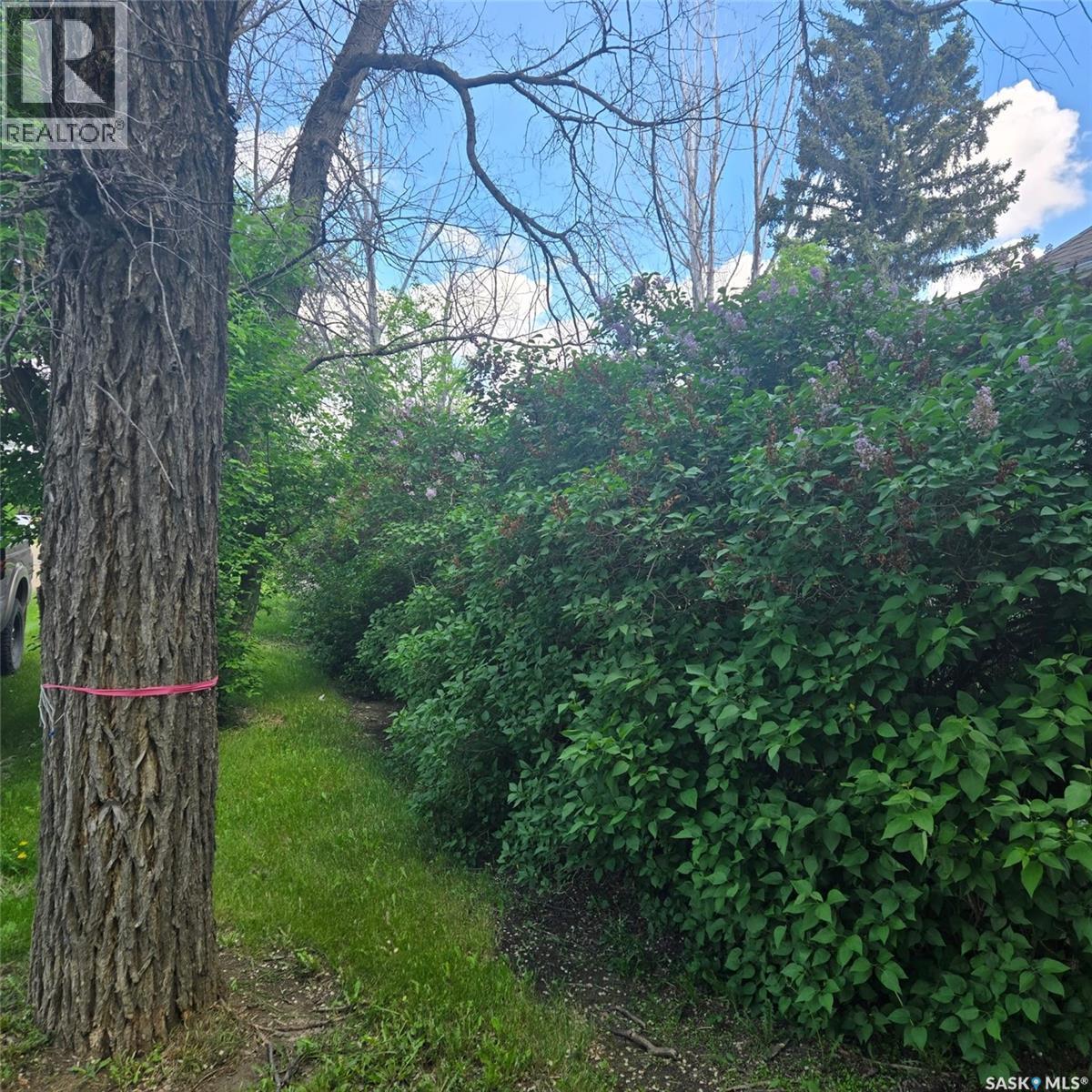 209 Bounty Street, Conquest, Saskatchewan  S0L 0L0 - Photo 47 - SK038695