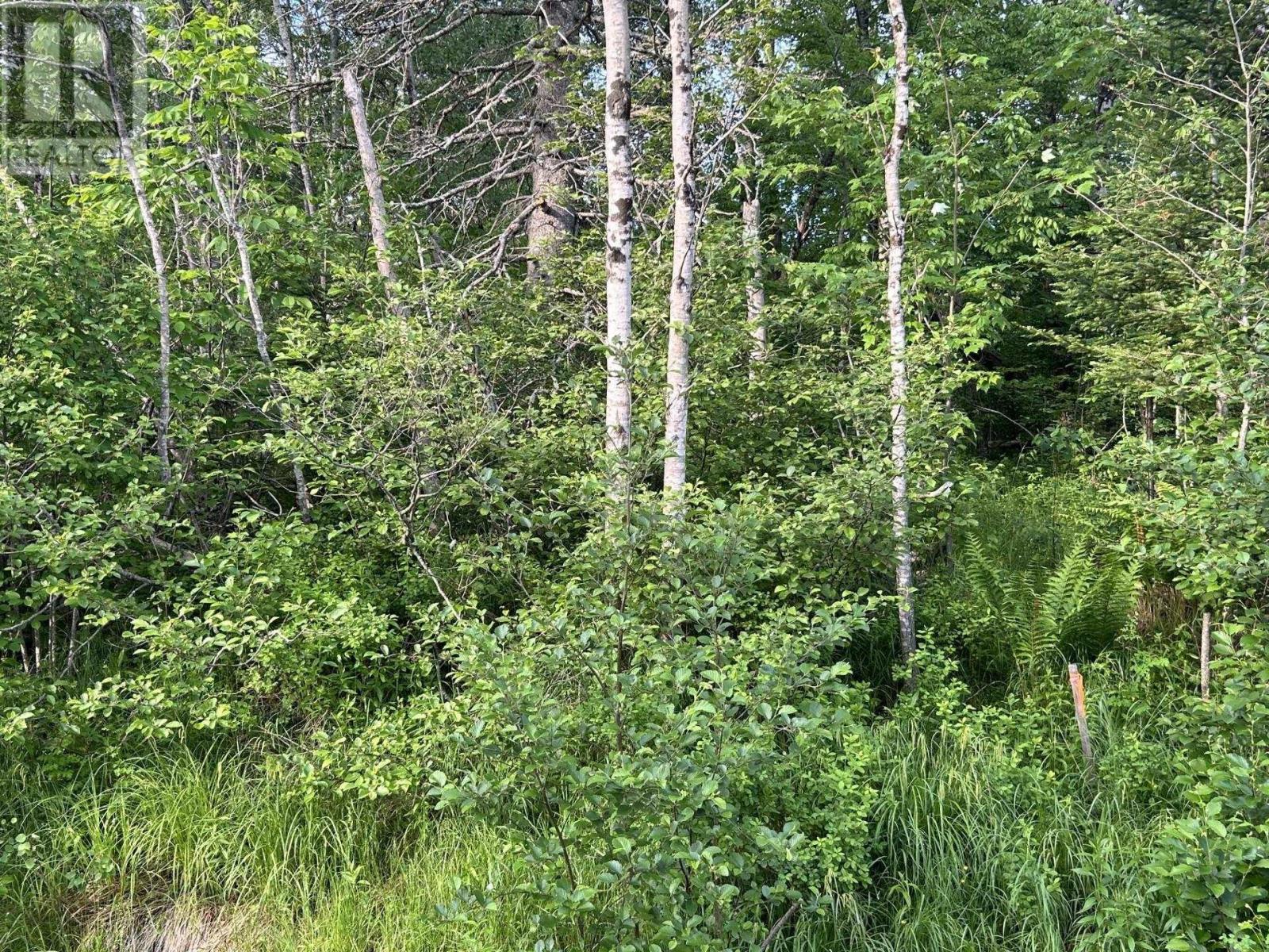 Lot K1 Greenfield Road, Greenfield, Nova Scotia  B4P 2R1 - Photo 13 - 202613918