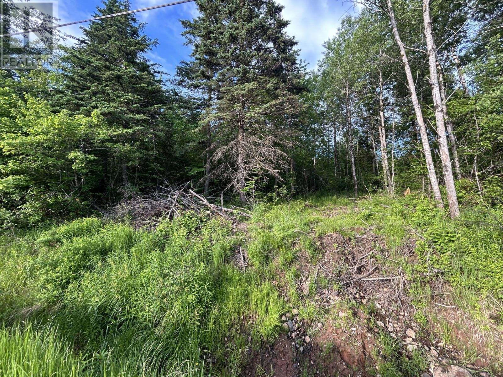 Lot K1 Greenfield Road, Greenfield, Nova Scotia  B4P 2R1 - Photo 19 - 202613918