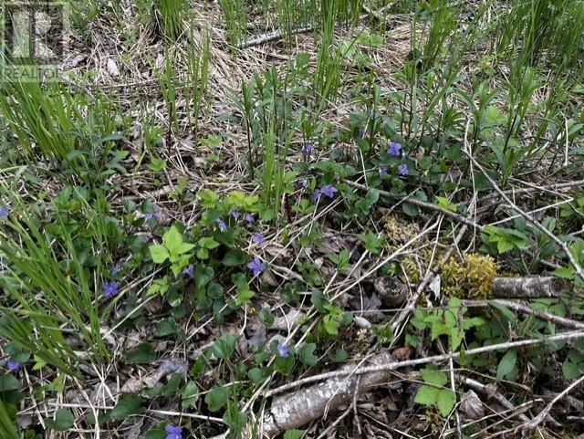 Lot K1 Greenfield Road, Greenfield, Nova Scotia  B4P 2R1 - Photo 2 - 202613918