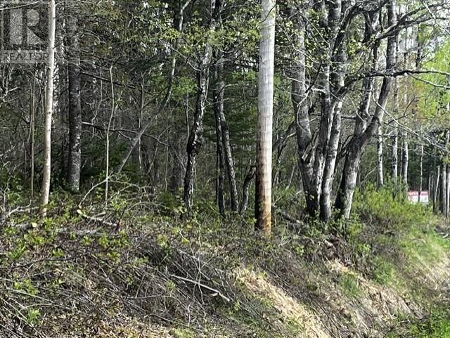 Lot K1 Greenfield Road, Greenfield, Nova Scotia  B4P 2R1 - Photo 7 - 202613918