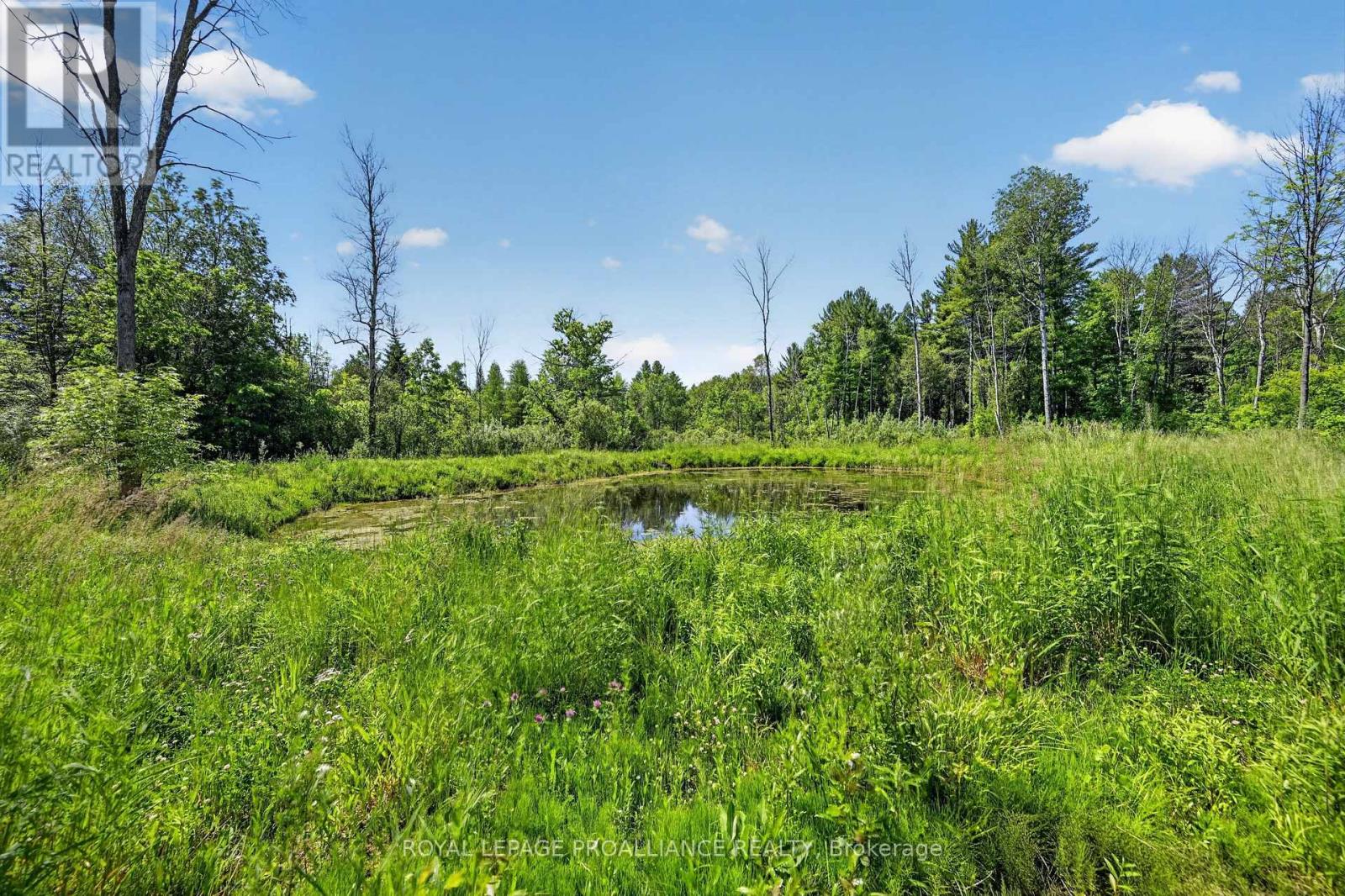 2102 County 44 Road, Edwardsburgh/cardinal, Ontario  K0E 1X0 - Photo 19 - X13425766