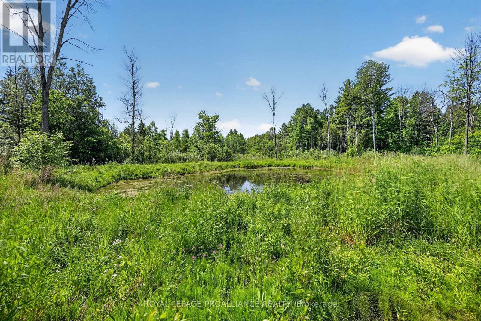 2102 County 44 Road, Edwardsburgh/cardinal, Ontario  K0E 1X0 - Photo 20 - X13425766