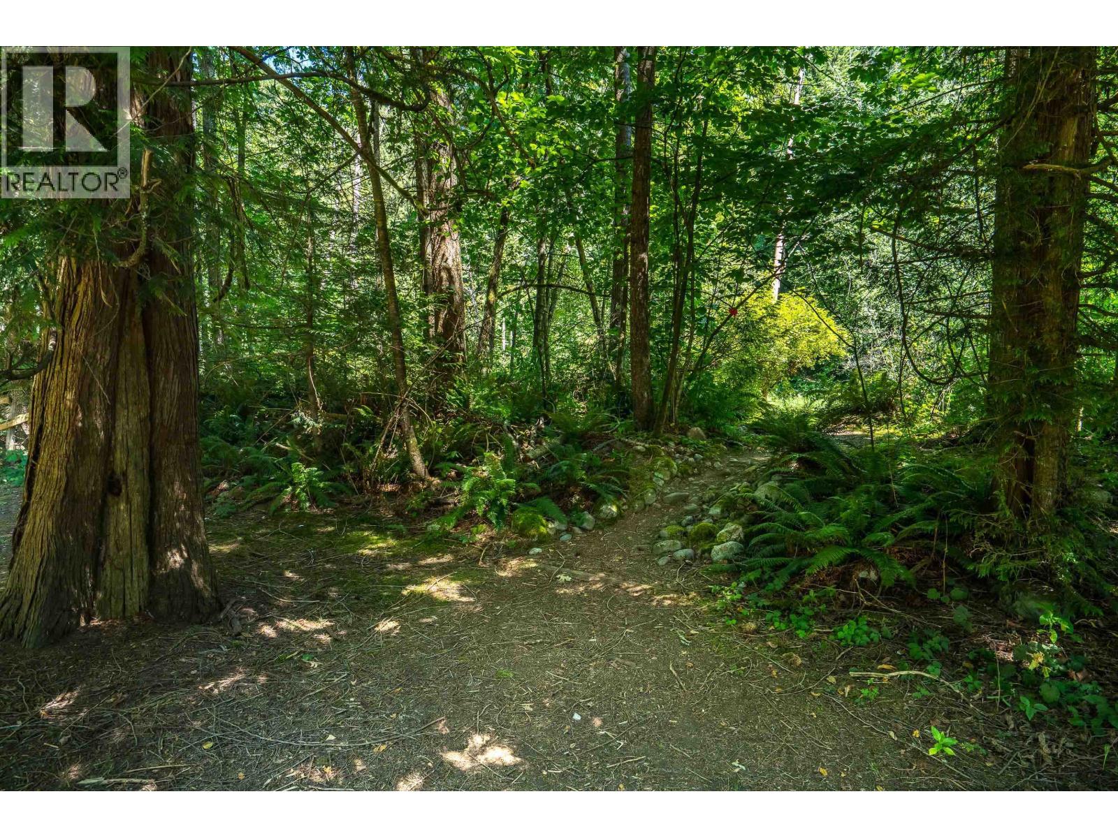 23463 Dogwood Avenue, Maple Ridge, British Columbia  V2X 4S4 - Photo 20 - R3134476