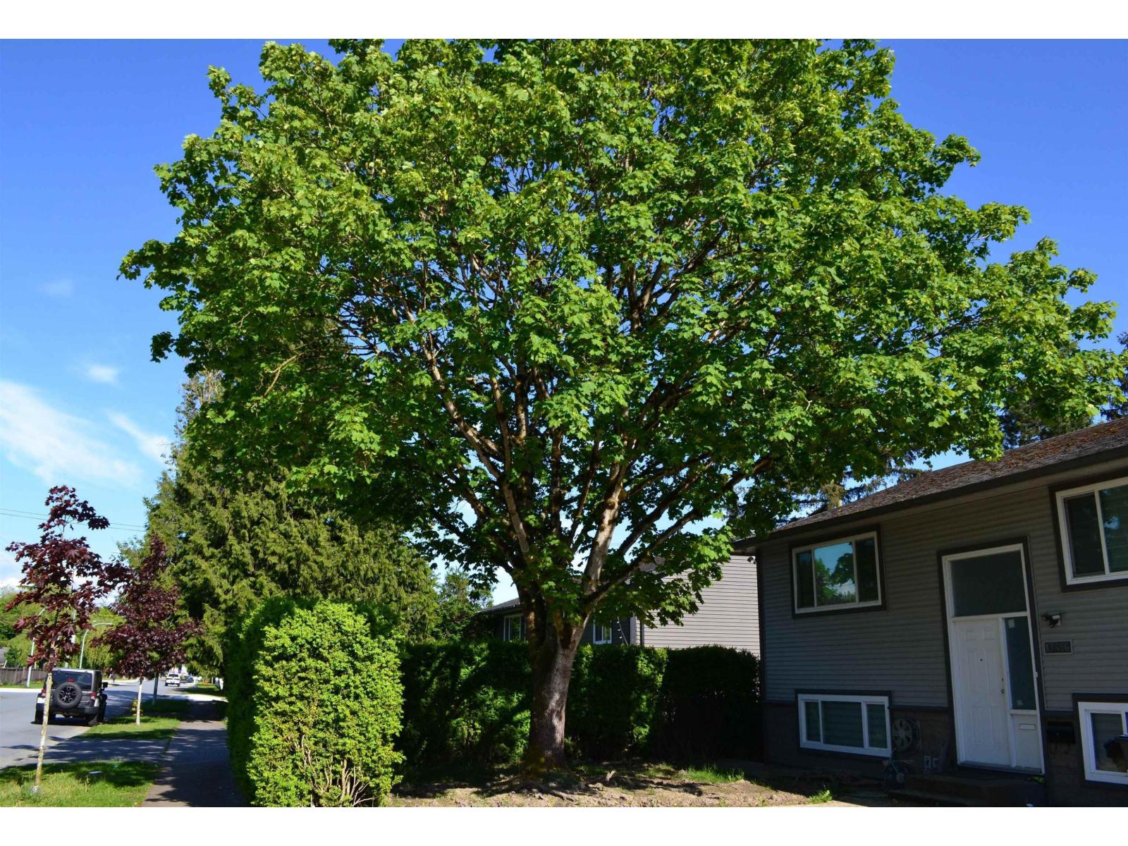 17486 61a Avenue, Surrey, British Columbia  V3S 5K2 - Photo 15 - R3133834