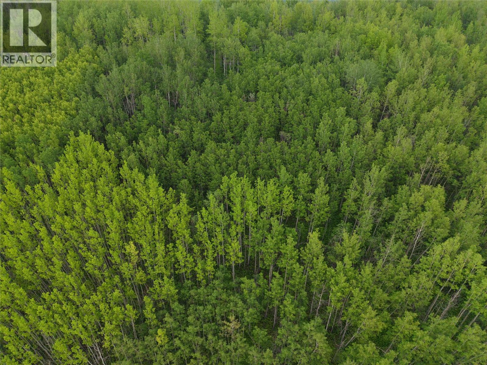 Lot 1 Kendrew Subdivision, Pouce Coupe, British Columbia  V0C 2C0 - Photo 9 - 10390832