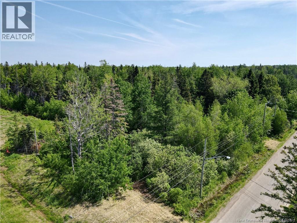 Lot Beaverbrook Road, Grande-Digue, New Brunswick  E4R 3W4 - Photo 5 - NB140963