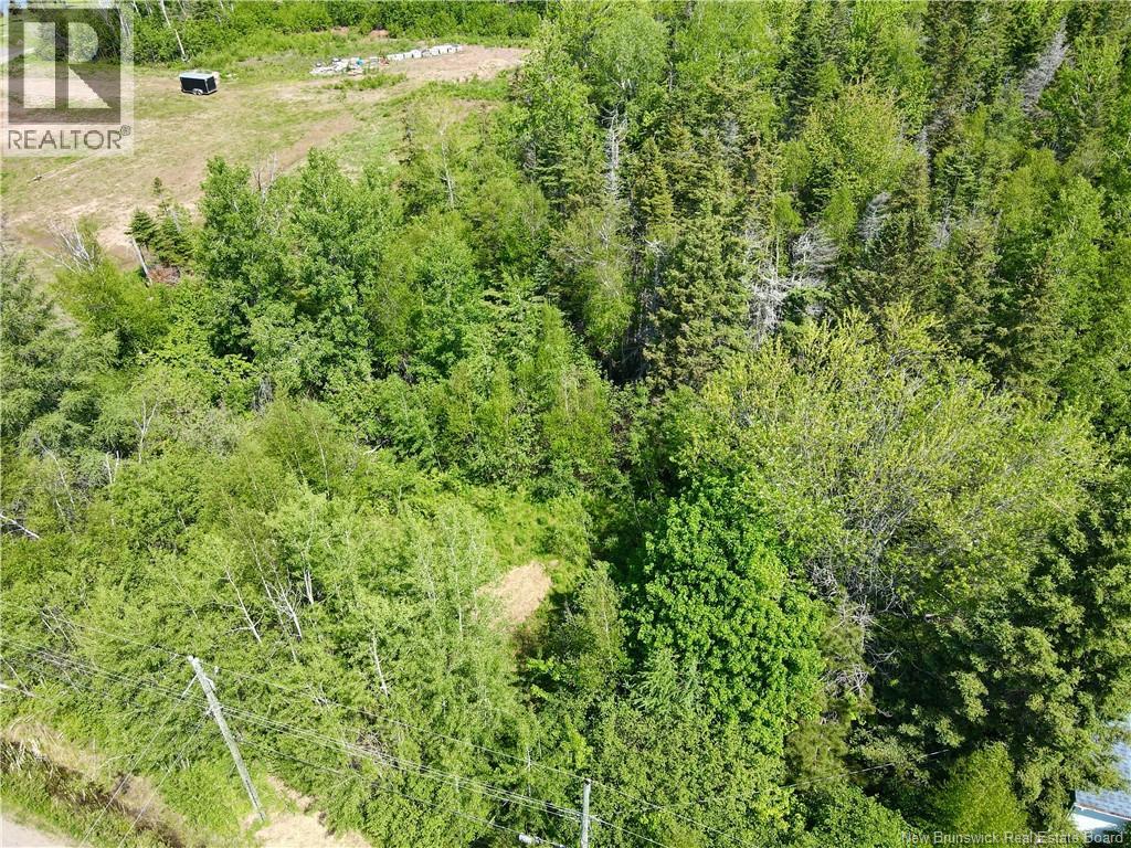 Lot Beaverbrook Road, Grande-Digue, New Brunswick  E4R 3W4 - Photo 4 - NB141605