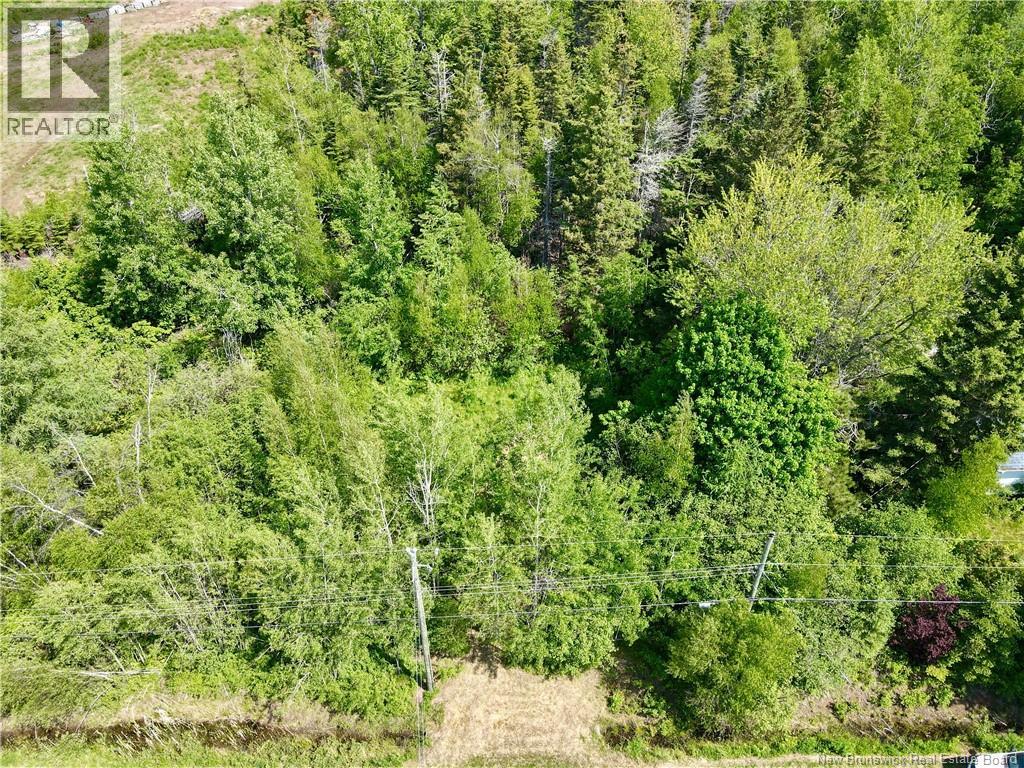 Lot Beaverbrook Road, Grande-Digue, New Brunswick  E4R 3W4 - Photo 3 - NB141605