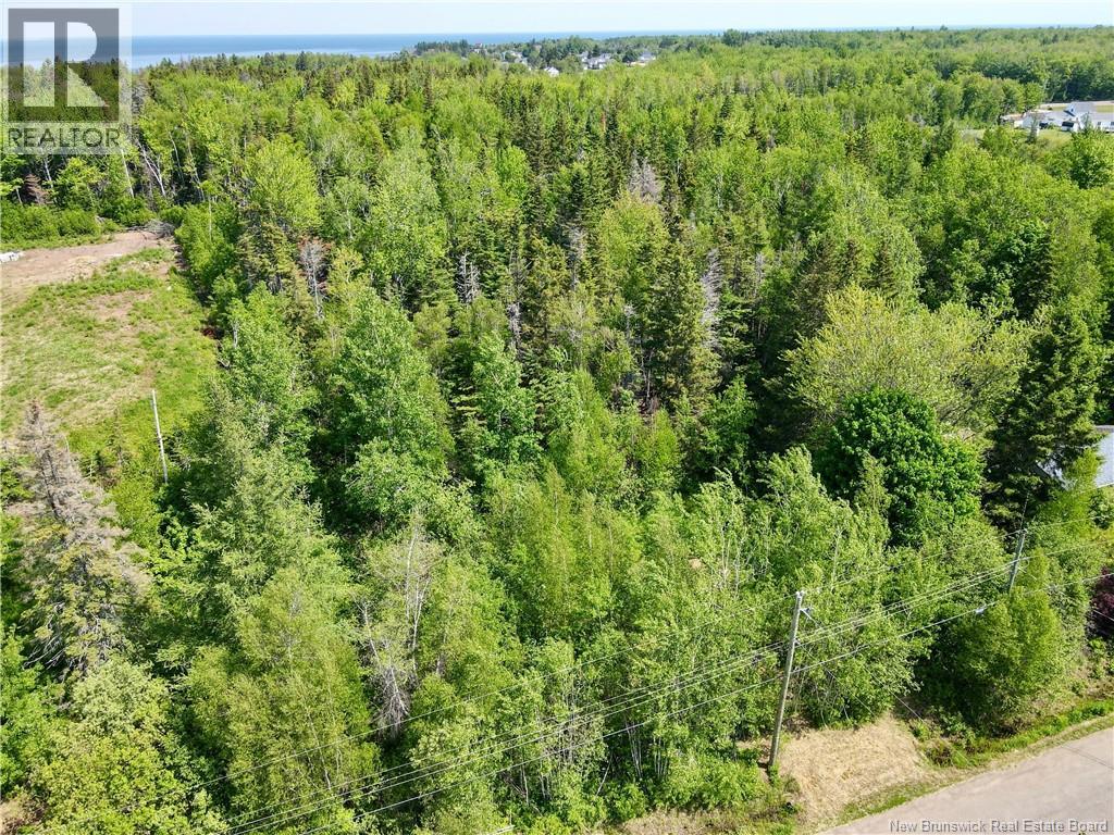 Lot Beaverbrook Road, Grande-Digue, New Brunswick  E4R 3W4 - Photo 5 - NB141605
