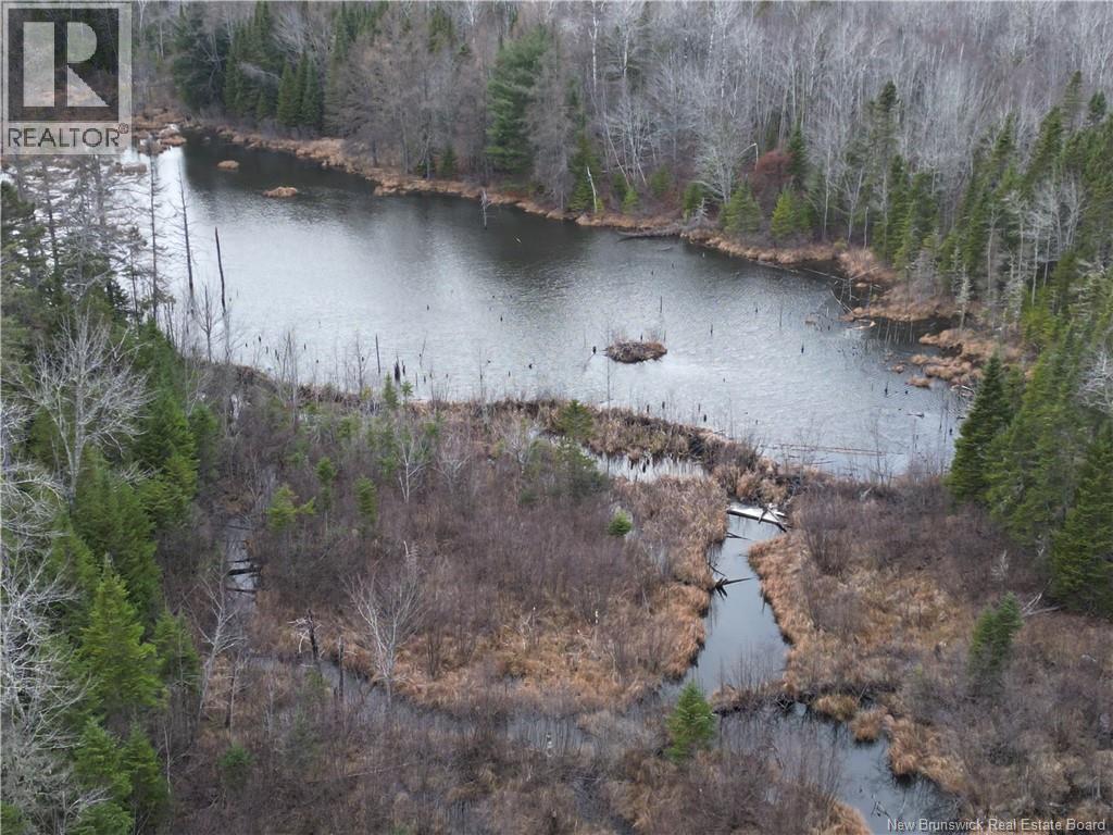 Avon Road, New Avon, New Brunswick  E4B 3T3 - Photo 15 - NB141629