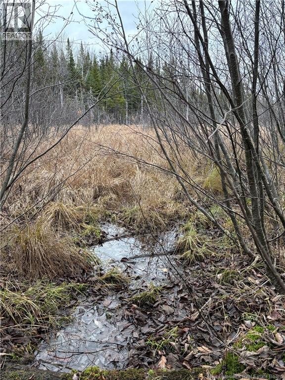 Avon Road, New Avon, New Brunswick  E4B 3T3 - Photo 17 - NB141629