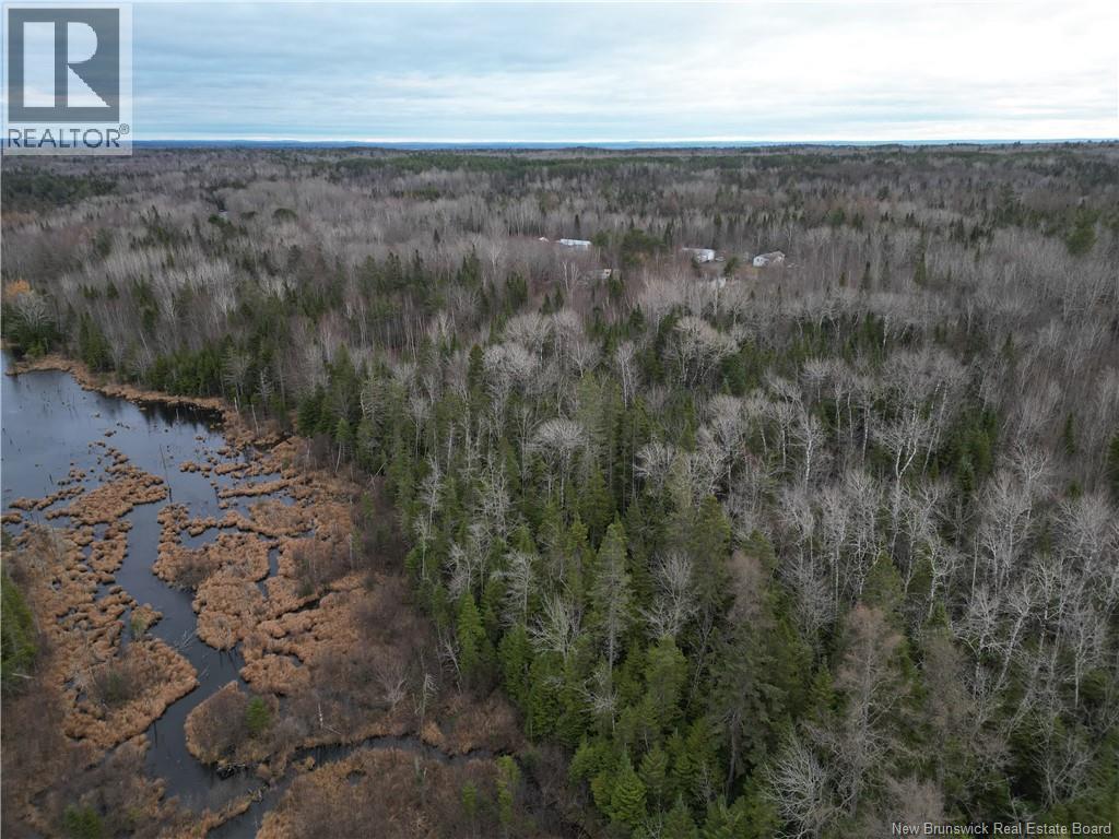 Avon Road, New Avon, New Brunswick  E4B 3T3 - Photo 12 - NB141629