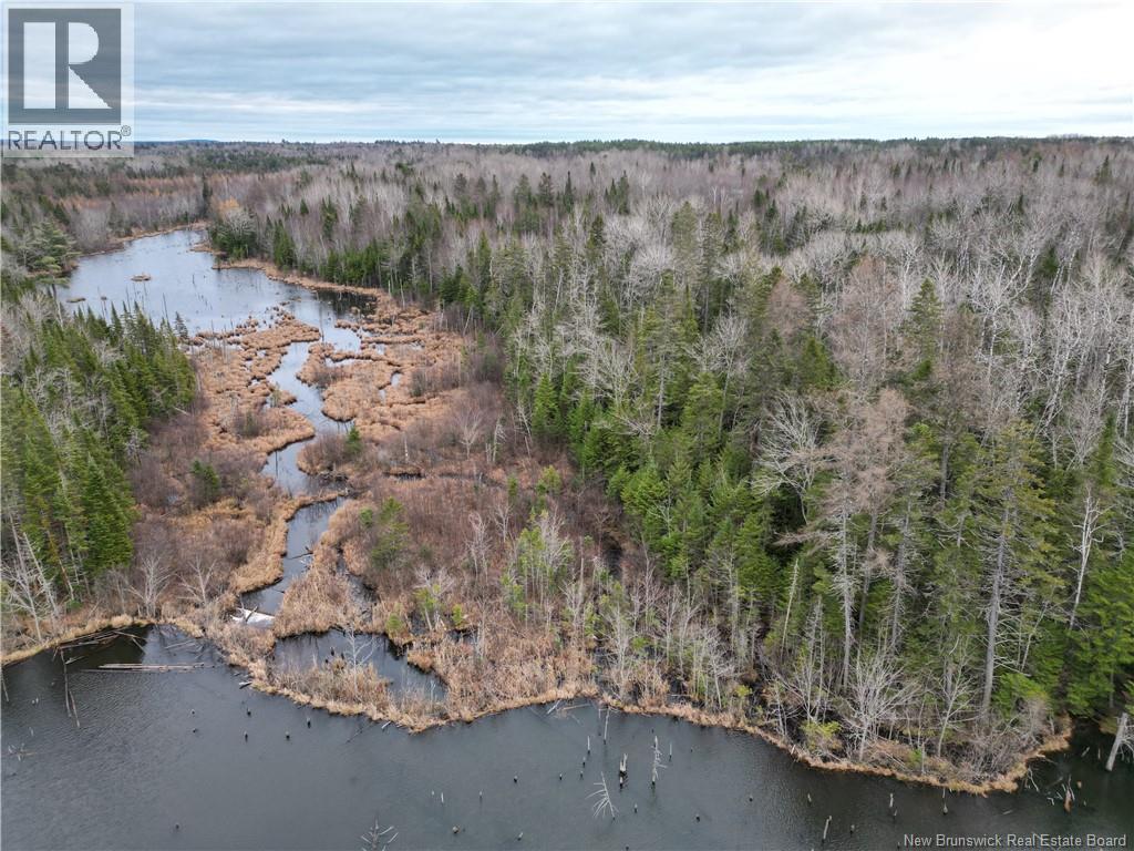 Avon Road, New Avon, New Brunswick  E4B 3T3 - Photo 13 - NB141629
