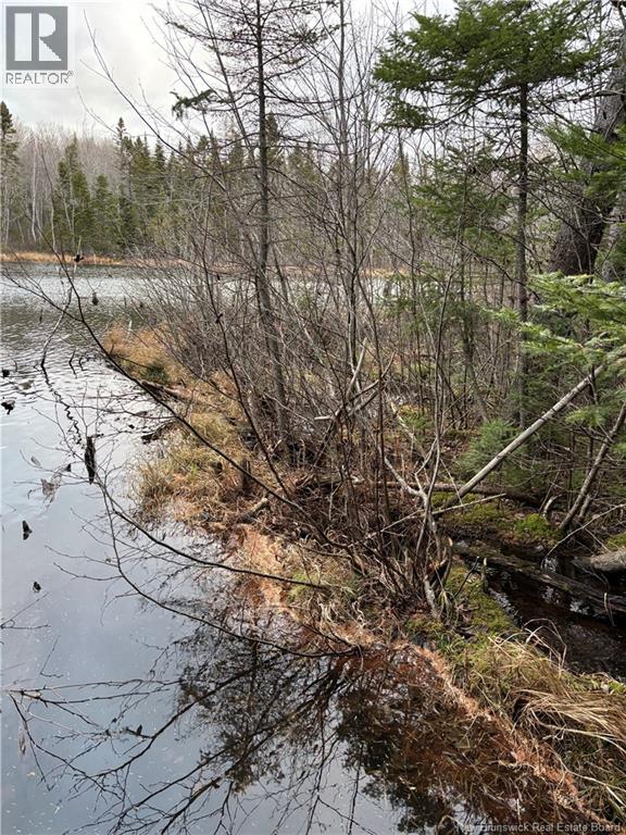 Avon Road, New Avon, New Brunswick  E4B 3T3 - Photo 16 - NB141629