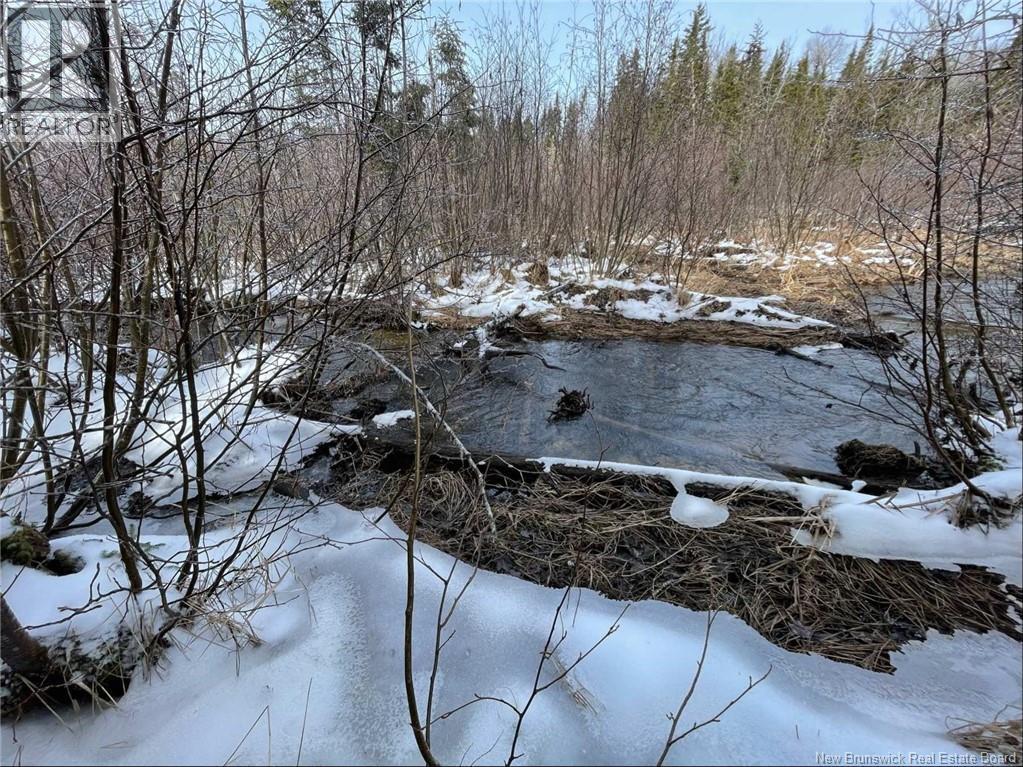 Avon Road, New Avon, New Brunswick  E4B 3T3 - Photo 19 - NB141629