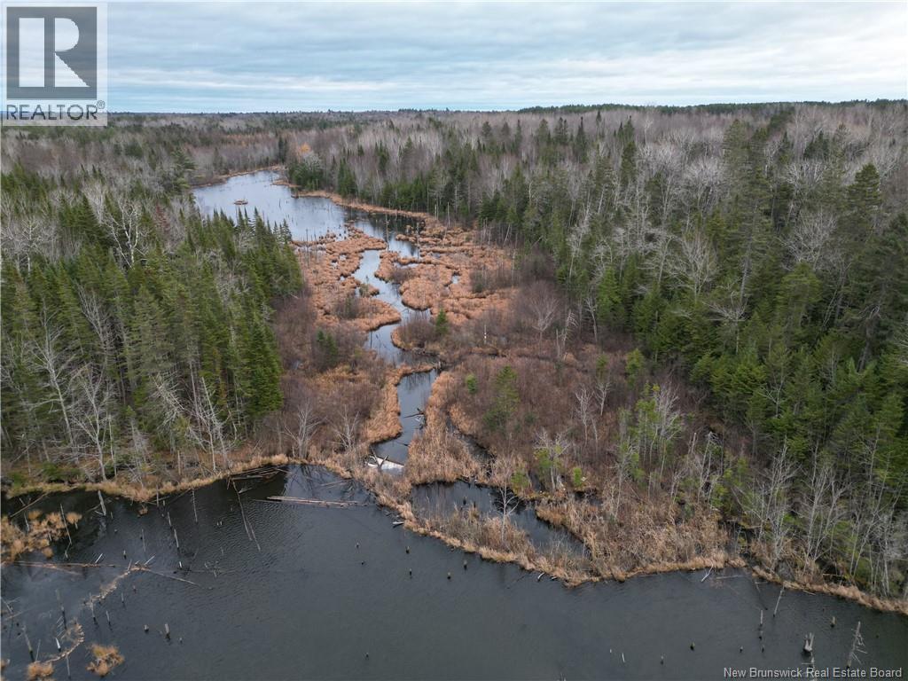 Avon Road, New Avon, New Brunswick  E4B 3T3 - Photo 7 - NB141629