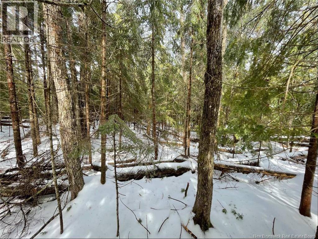 Avon Road, New Avon, New Brunswick  E4B 3T3 - Photo 20 - NB141629