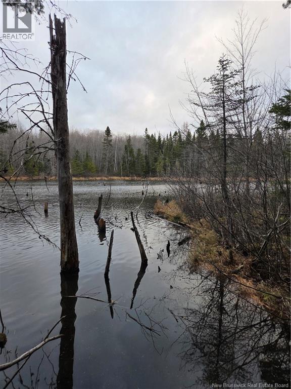Avon Road, New Avon, New Brunswick  E4B 3T3 - Photo 25 - NB141629