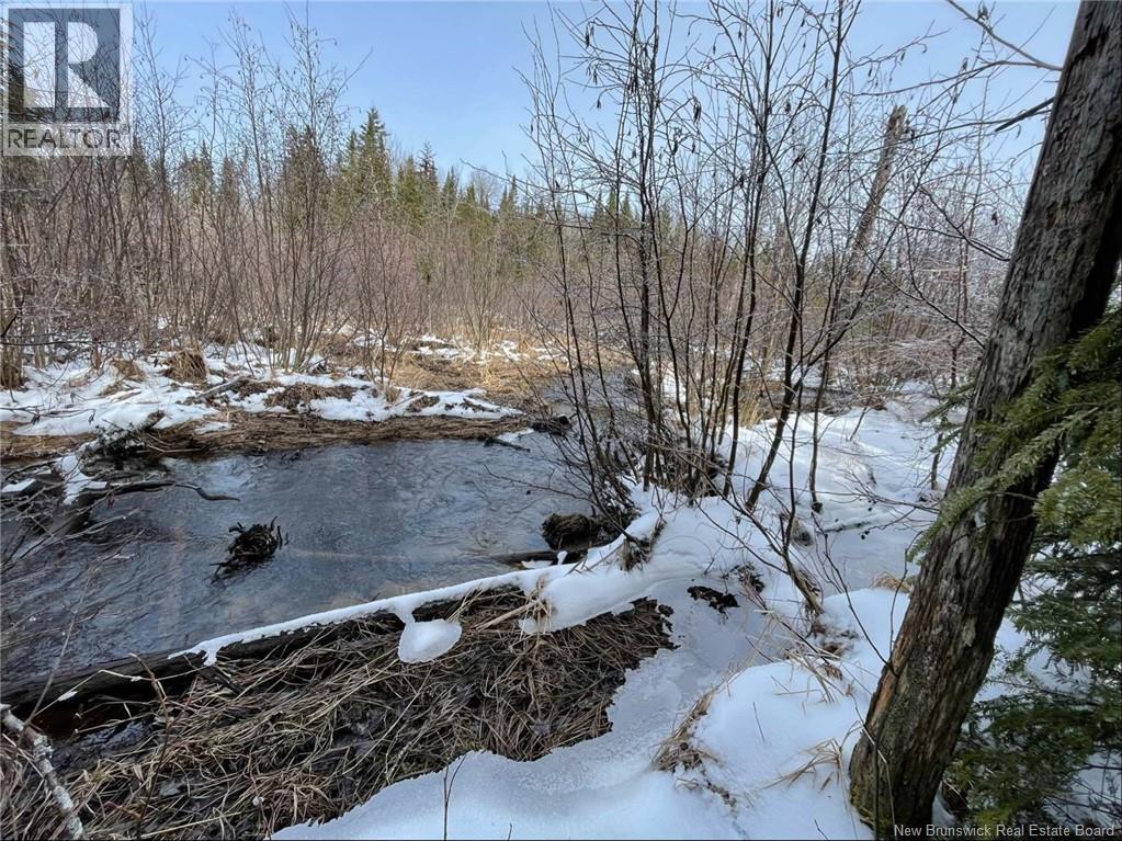 Avon Road, New Avon, New Brunswick  E4B 3T3 - Photo 18 - NB141629