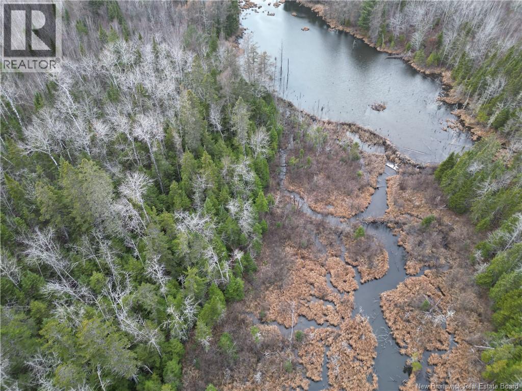 Avon Road, New Avon, New Brunswick  E4B 3T3 - Photo 21 - NB141629