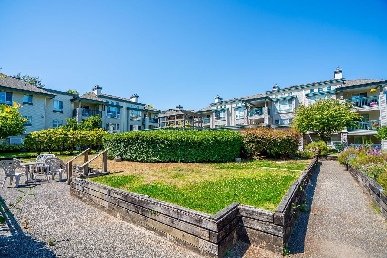 331 19528 Fraser Highway, Surrey, British Columbia  V3S 8P4 - Photo 20 - R3133884