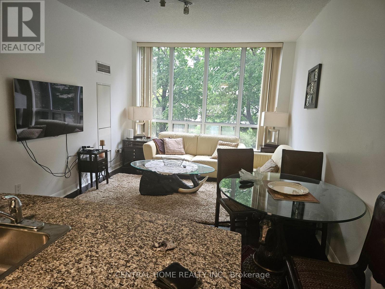 211 - 33 Sheppard Avenue E, Toronto, Ontario  M2N 7K1 - Photo 6 - C13426400