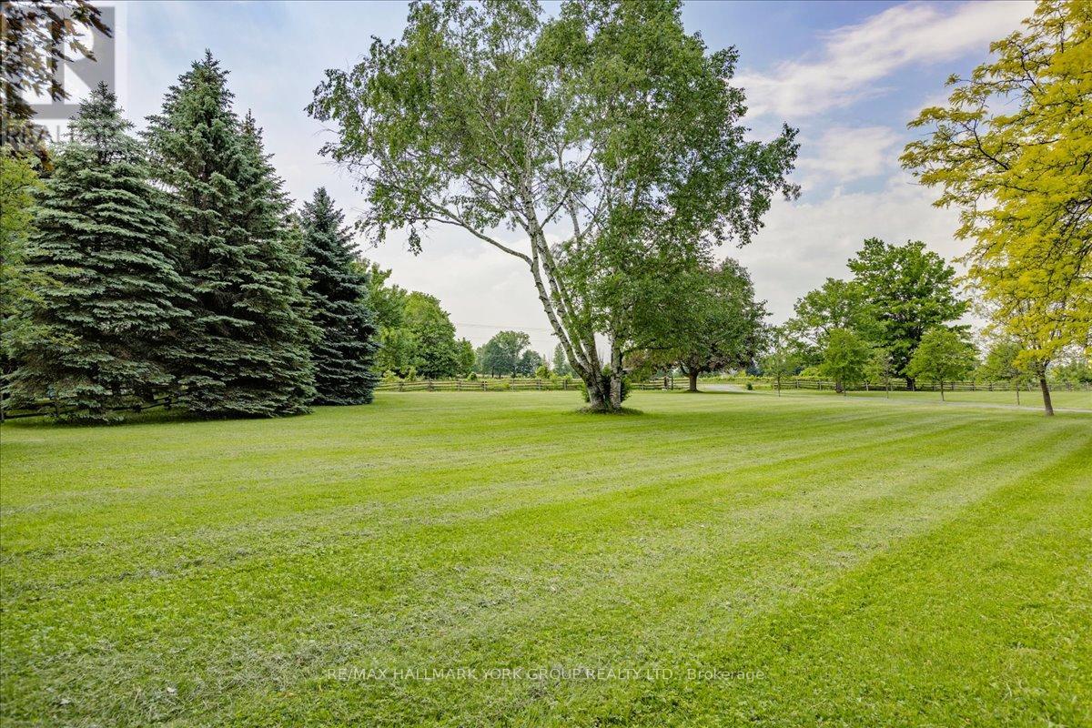 2490 Holborn Road, East Gwillimbury, Ontario  L0G 1R0 - Photo 34 - N13426396