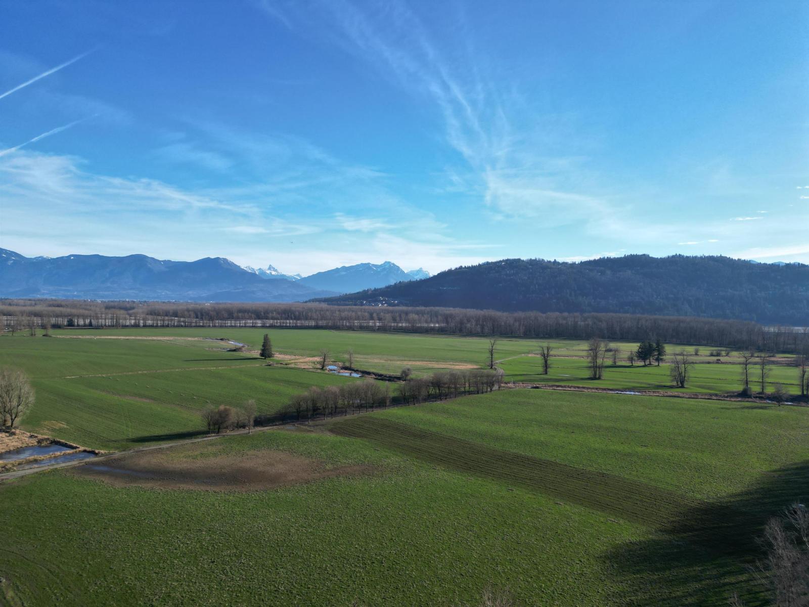 9974 Tremblay Road, Mission, British Columbia  V0M 1G0 - Photo 18 - C8079342