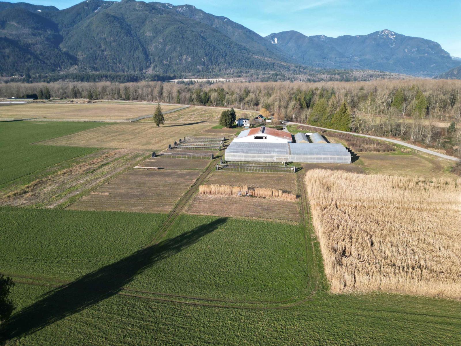 9974 Tremblay Road, Mission, British Columbia  V0M 1G0 - Photo 29 - C8079342